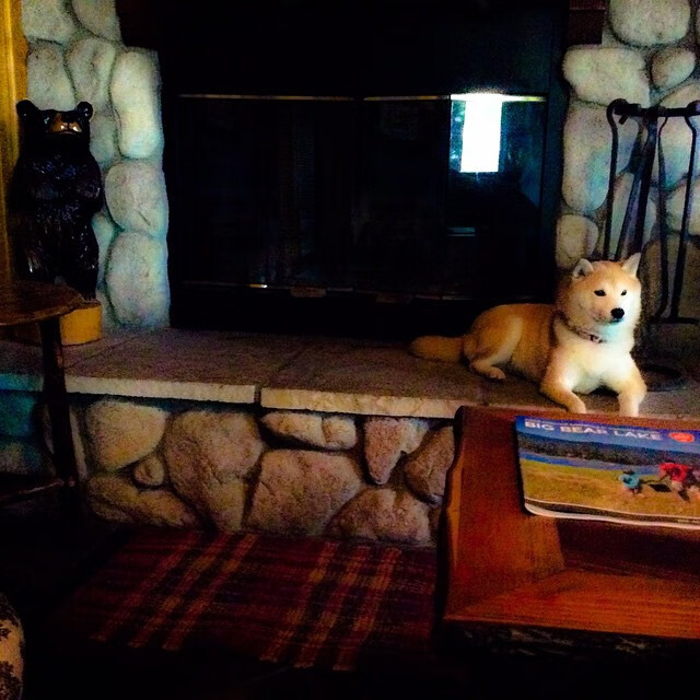 中国足球替补球员出场效率对比，中国足球替补球员出场效率对比图