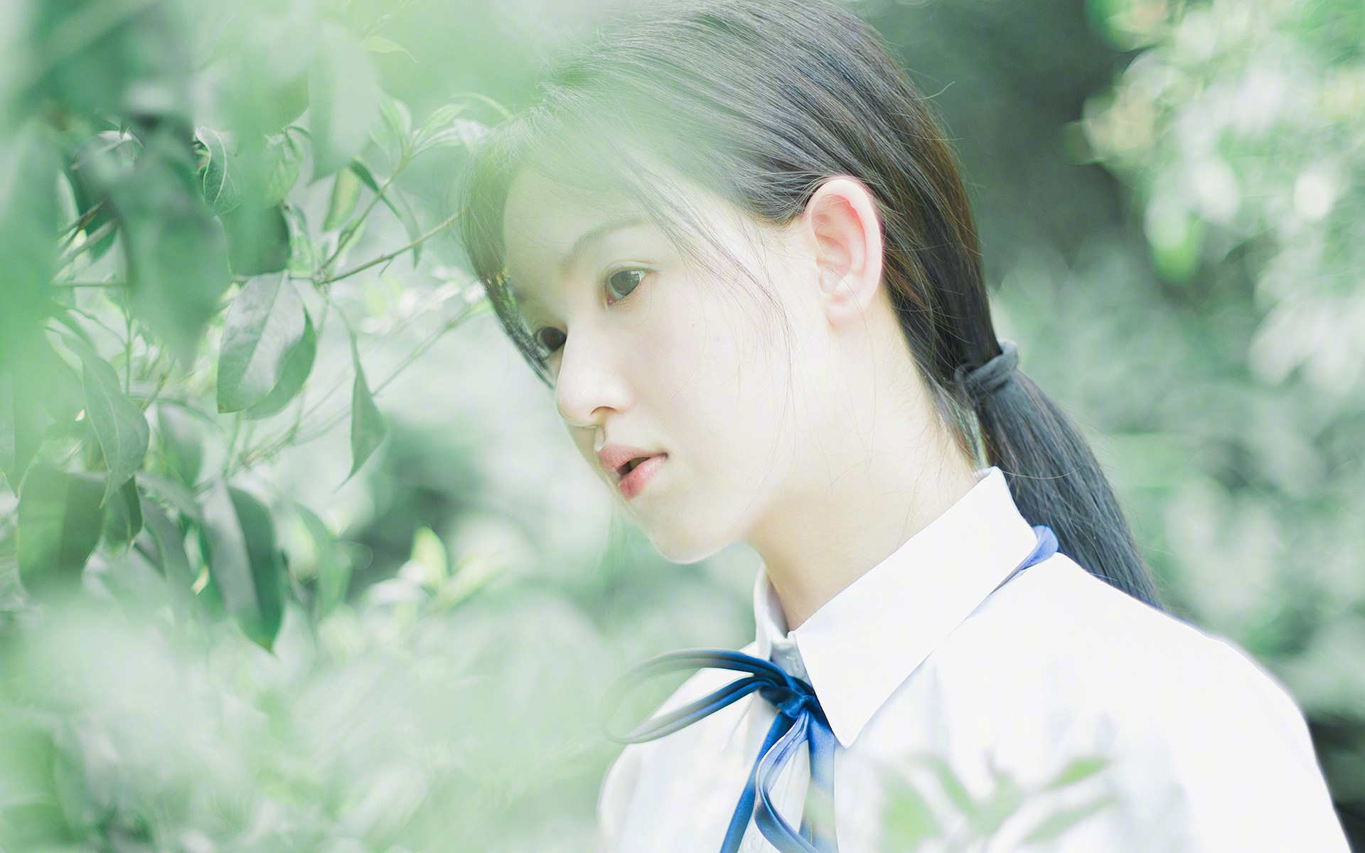 传奇教练:那些战术大师的执教哲学,传奇教练徽章