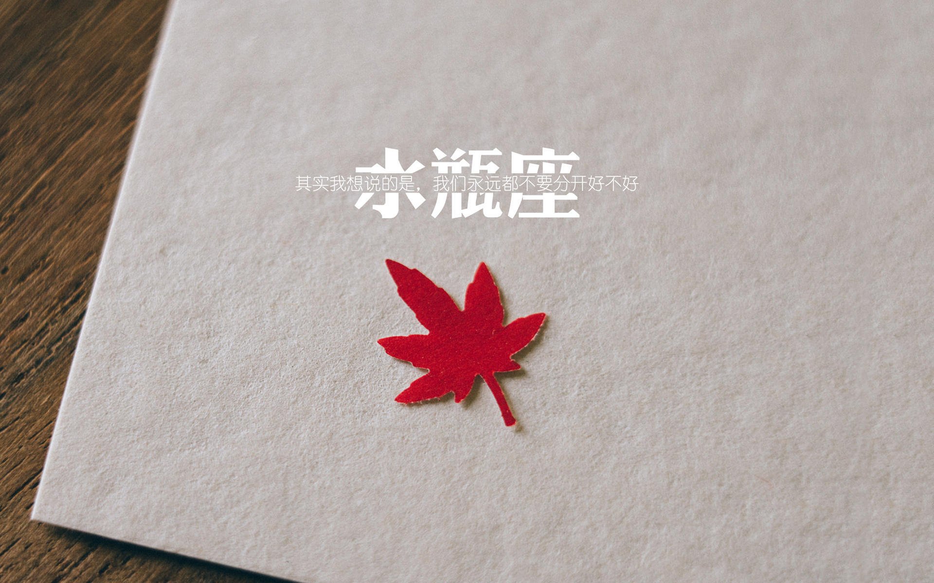 全国赛车耐力赛珠海站天气多变，珠海700公里耐力赛