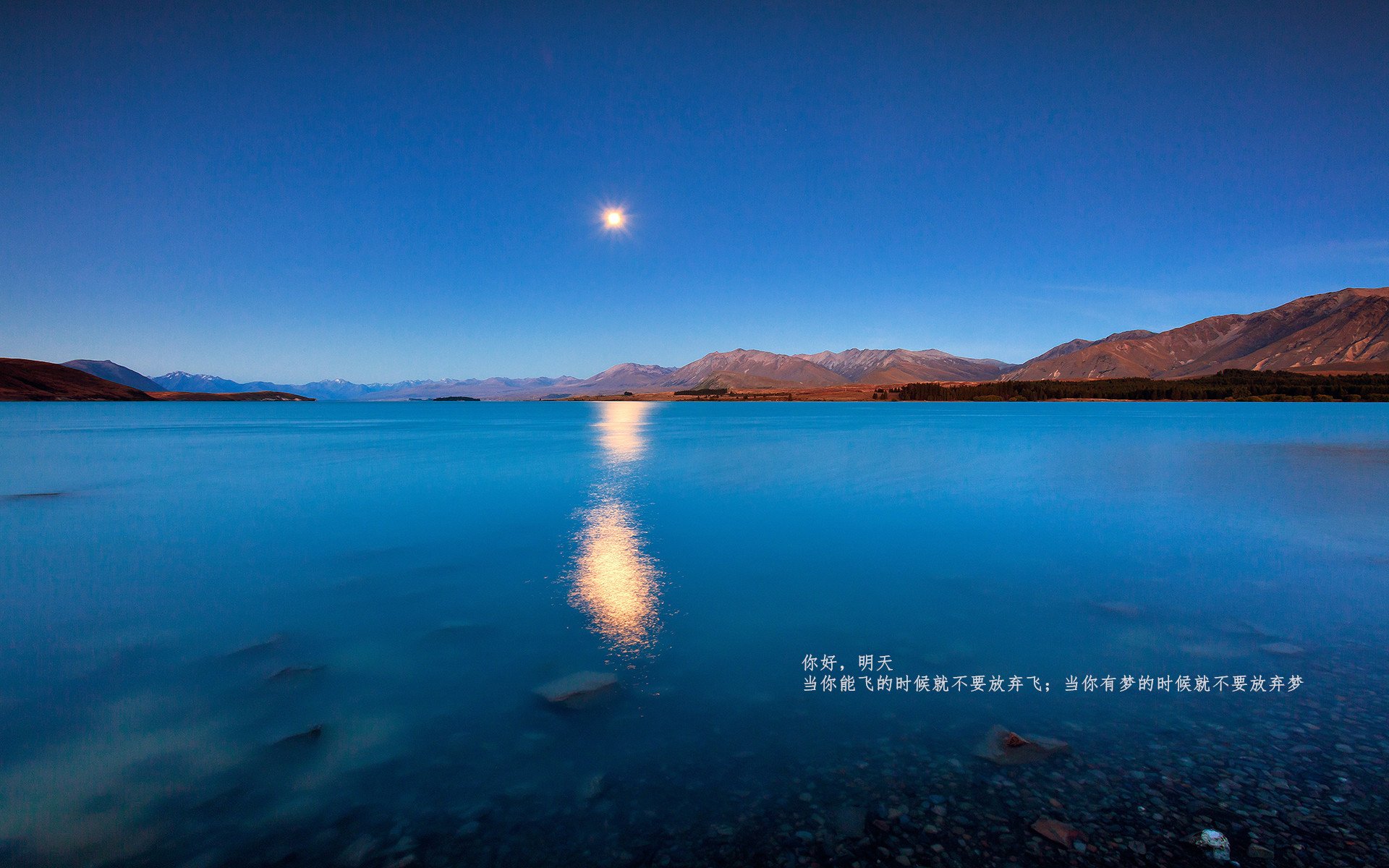 全国青少年趣味运动会迎来青春盛宴,青年趣味运动标语