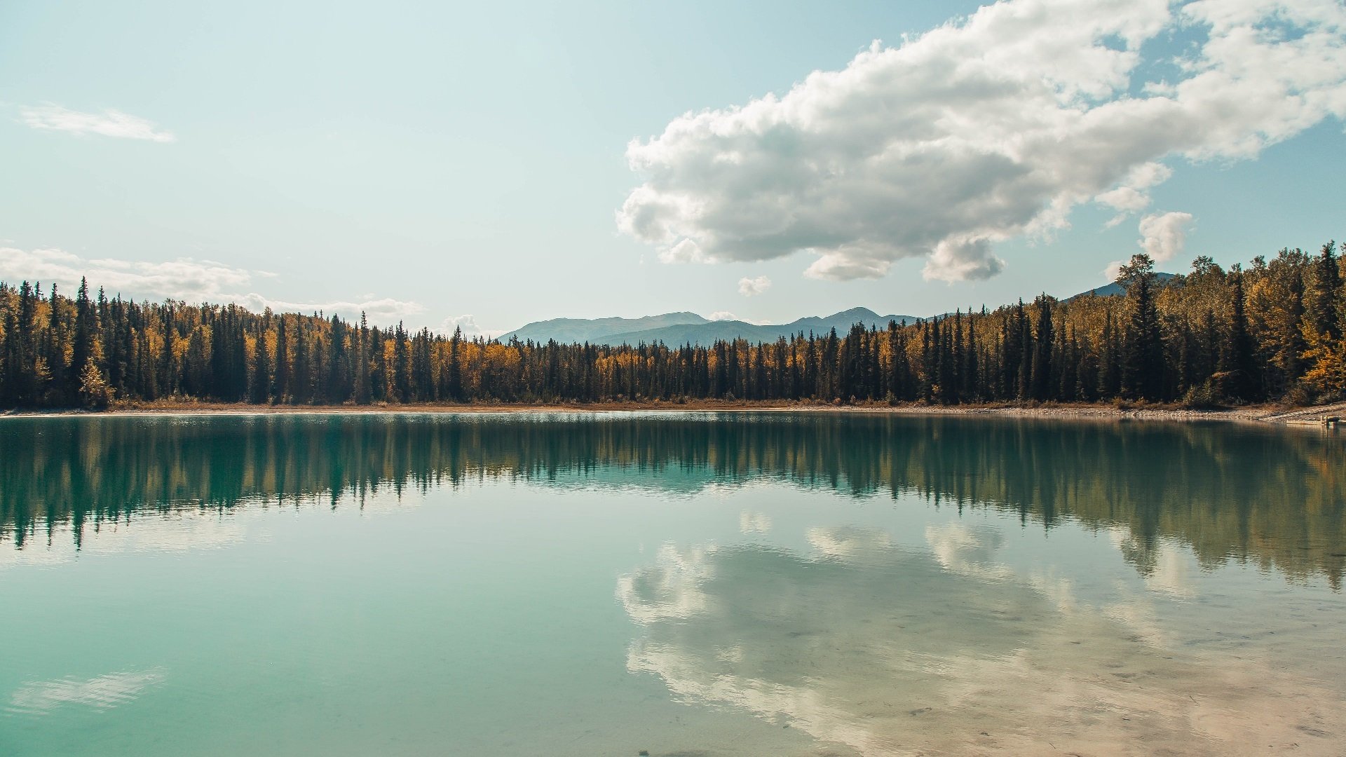 中国篮球打造城市代表队体系构建区域联赛格局,全国篮球城市