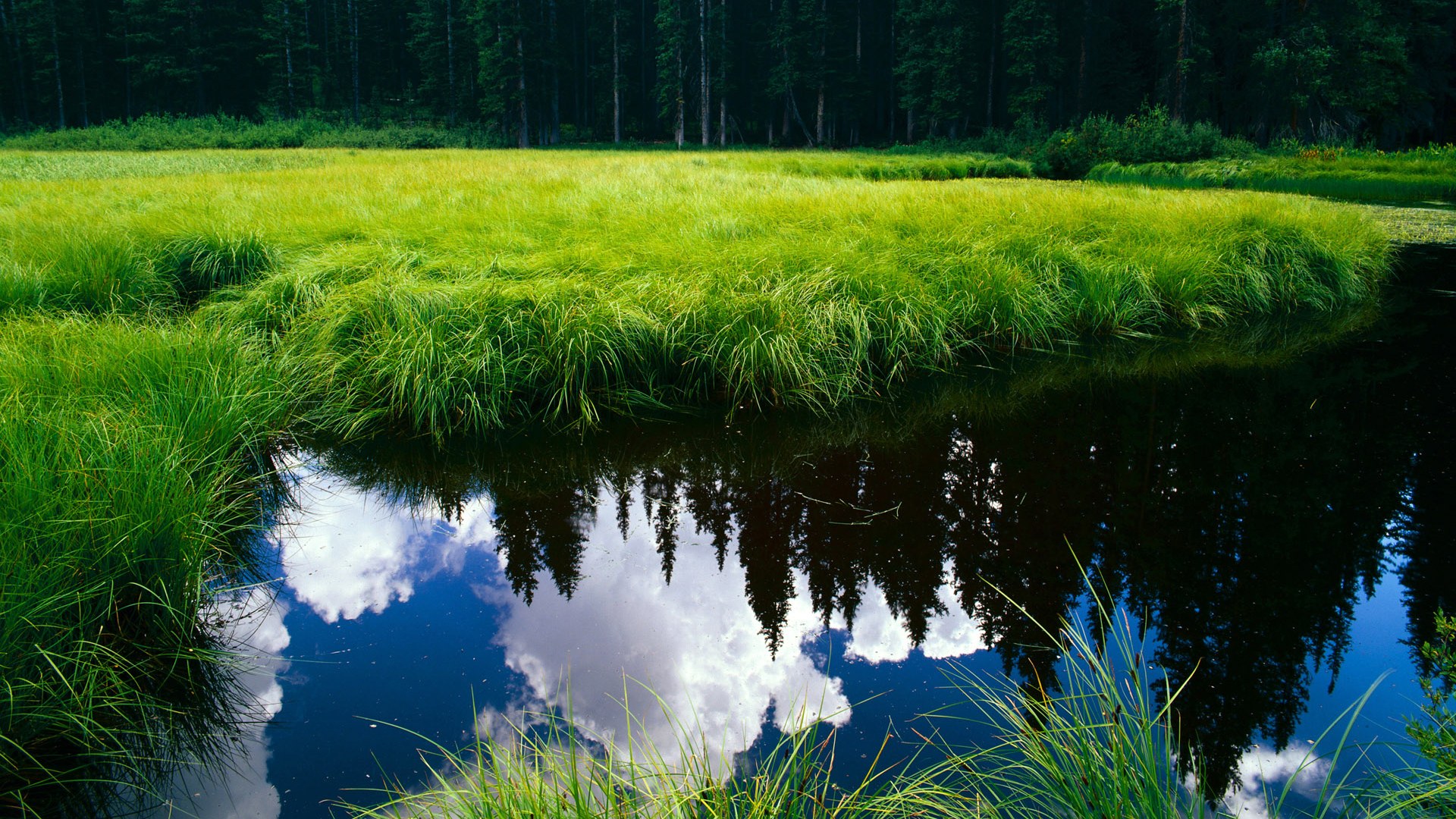 Kaiyun(中国)开云-意甲攻防对决：精彩瞬间层出不穷，意甲对抗强度