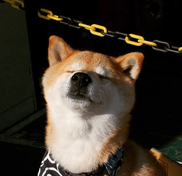 摩洛哥男篮在非洲锦标赛中迎战强敌，体育实力不断提升，摩洛哥比赛视频