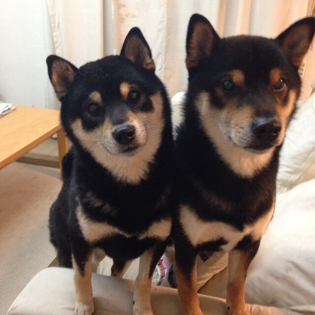 李娜称赞中国青少年网球进步明显，李娜网球水平等级