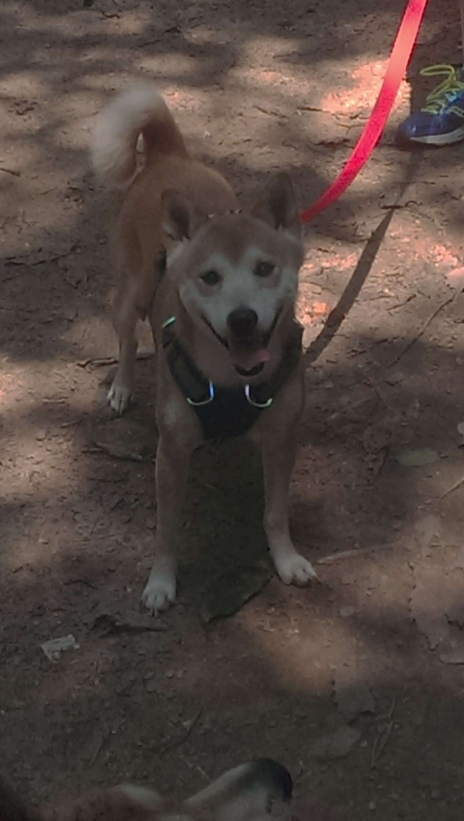 青训营加强个人技术课打牢基本功训练，加强技术培训,提升技能水平,促进