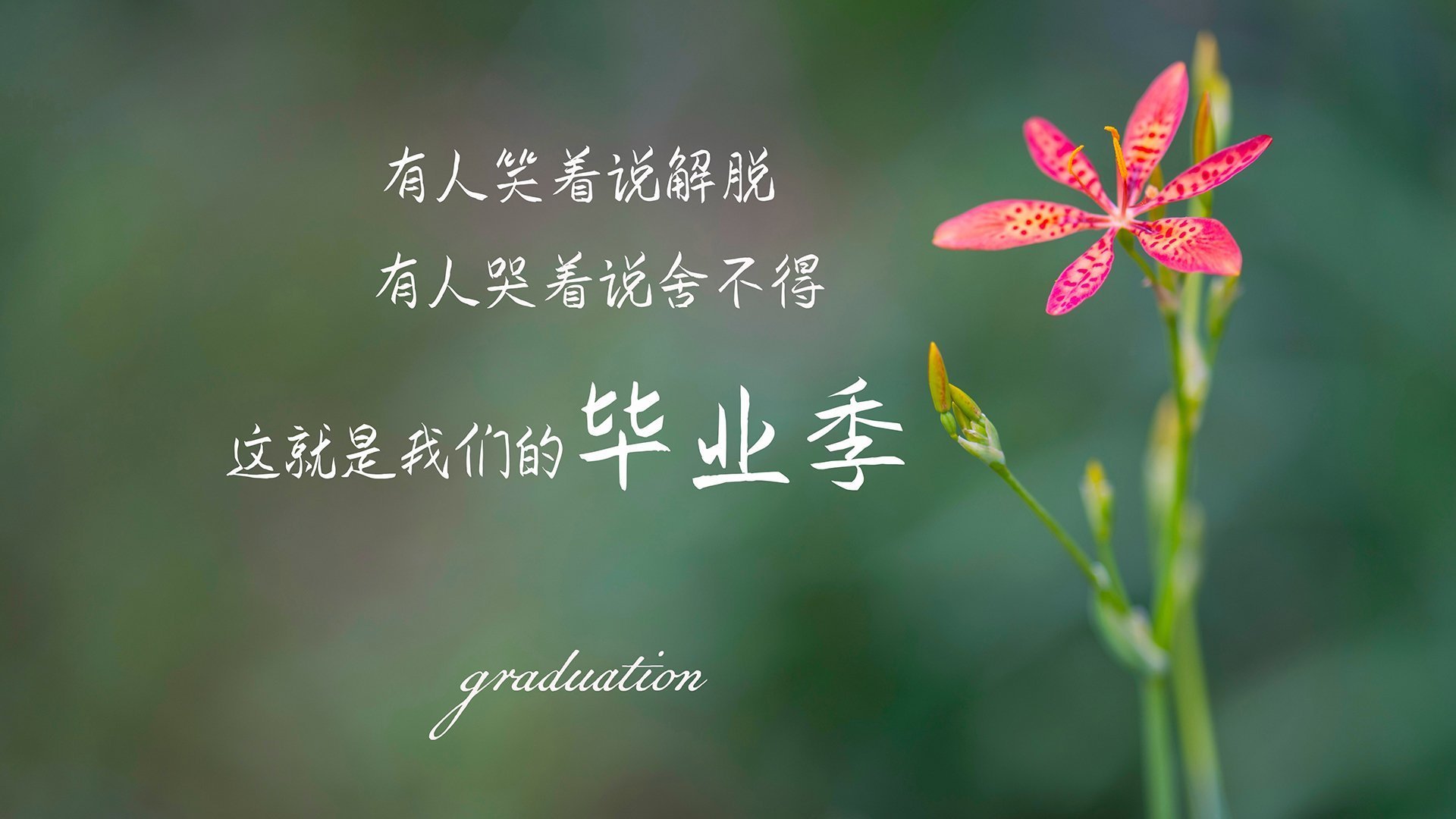 NBA中国官方账号互动频繁吸引年轻粉丝，nba中国官网商店