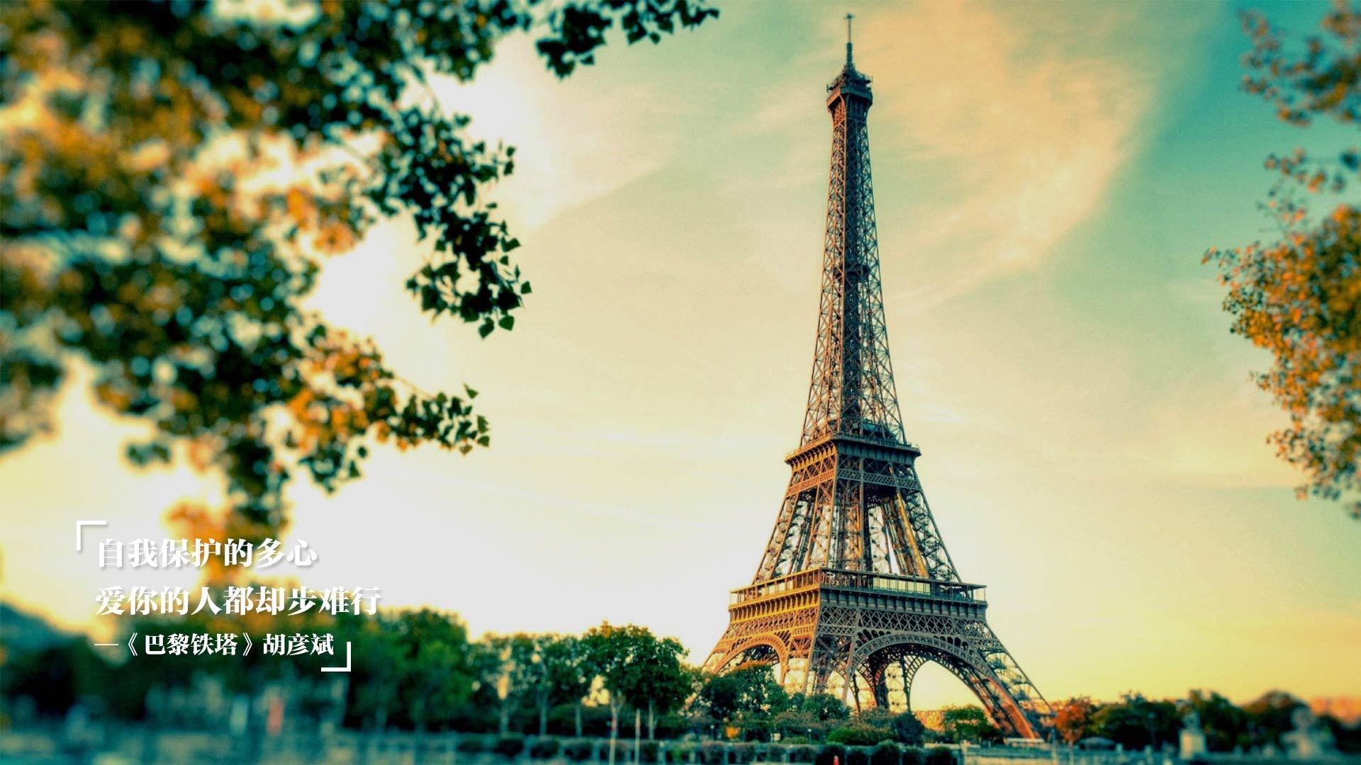 中国足球赛事媒体版权收益分配机制与公平性研究,足球联赛版权