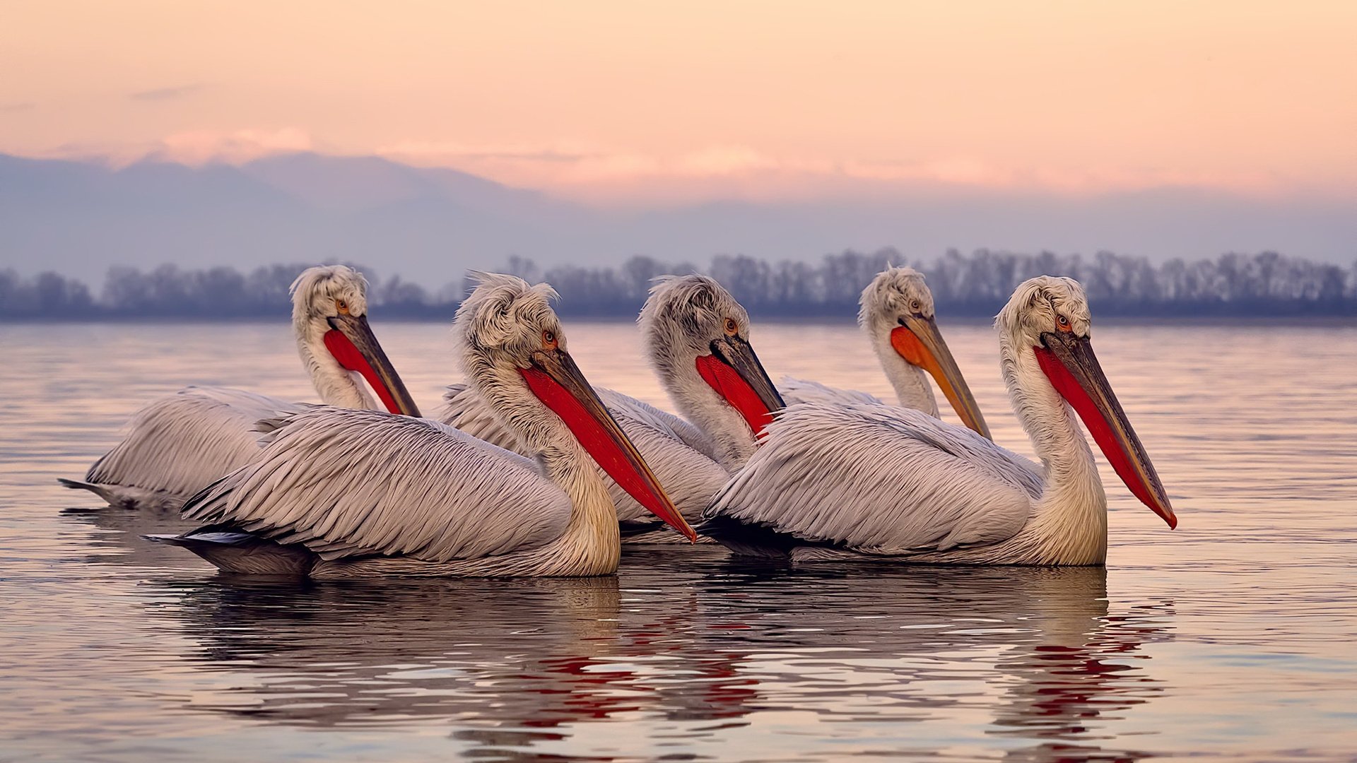 体育新闻中心记录城市体育发展年度评估内容方案，体育新闻评选