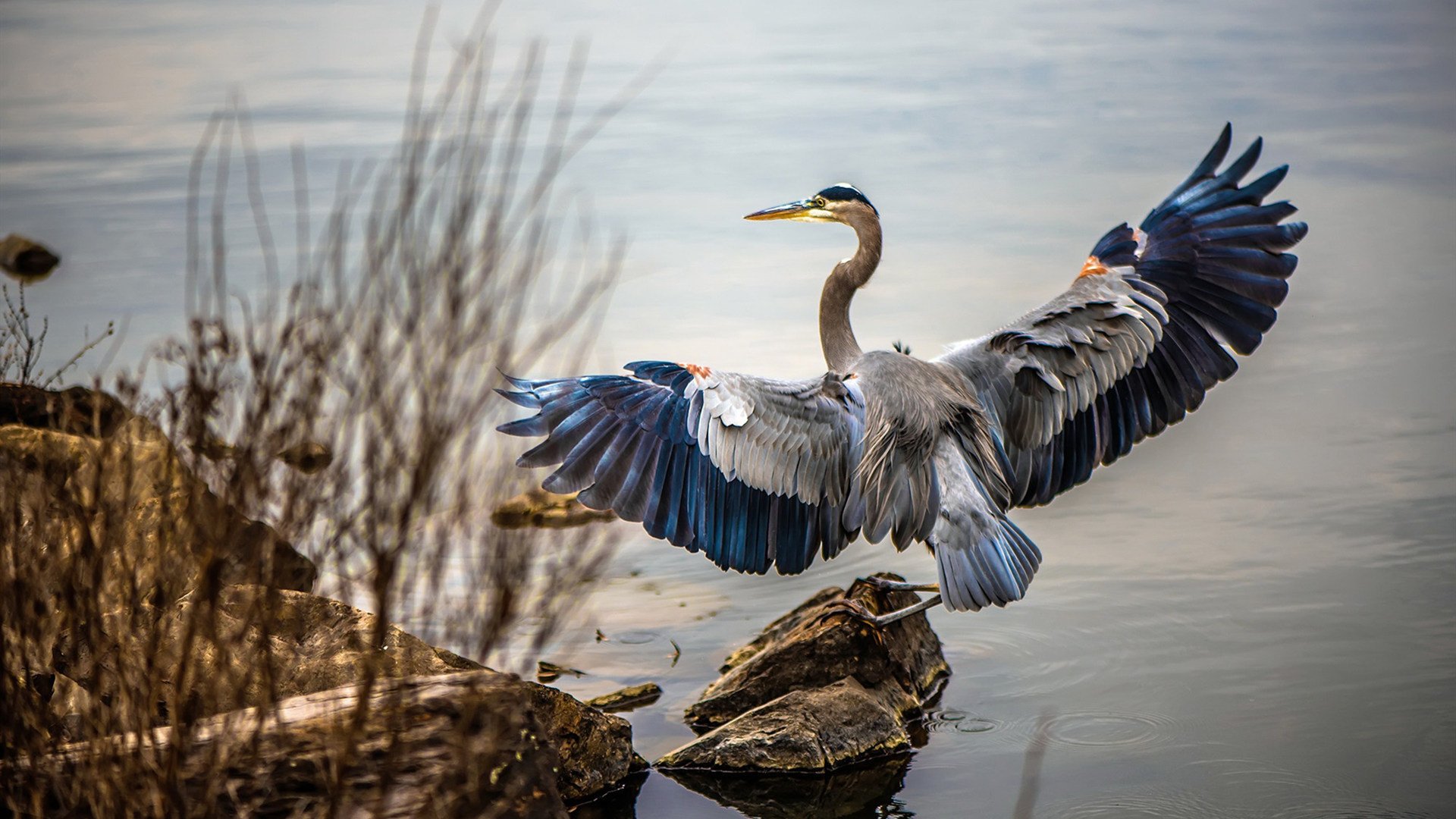 俱乐部与地方文旅局联手 推动赛事旅游融合发展,旅游俱乐部简介