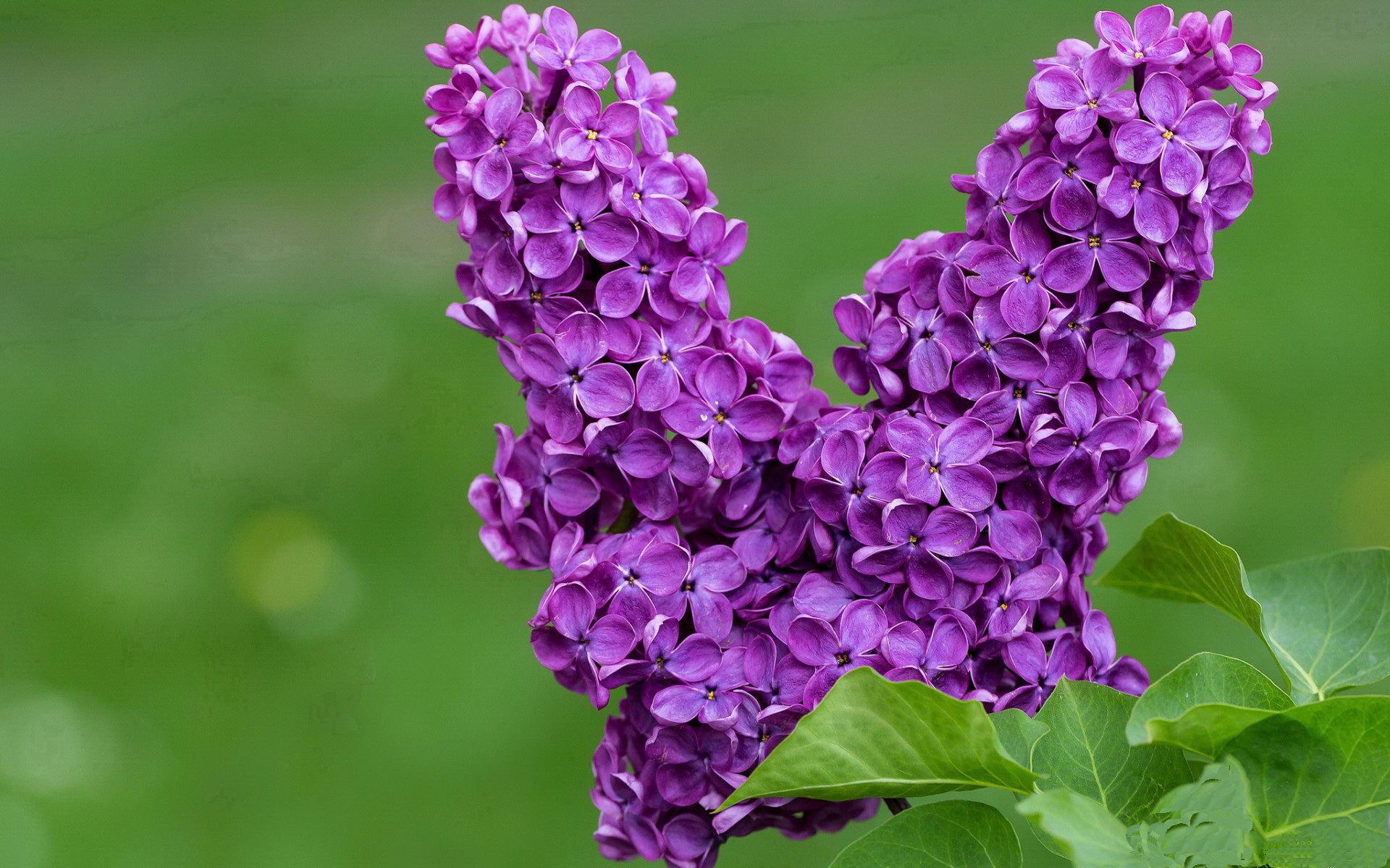 切尔西中场组织流畅，控球率高居榜首，切尔西历史中场球员有哪些